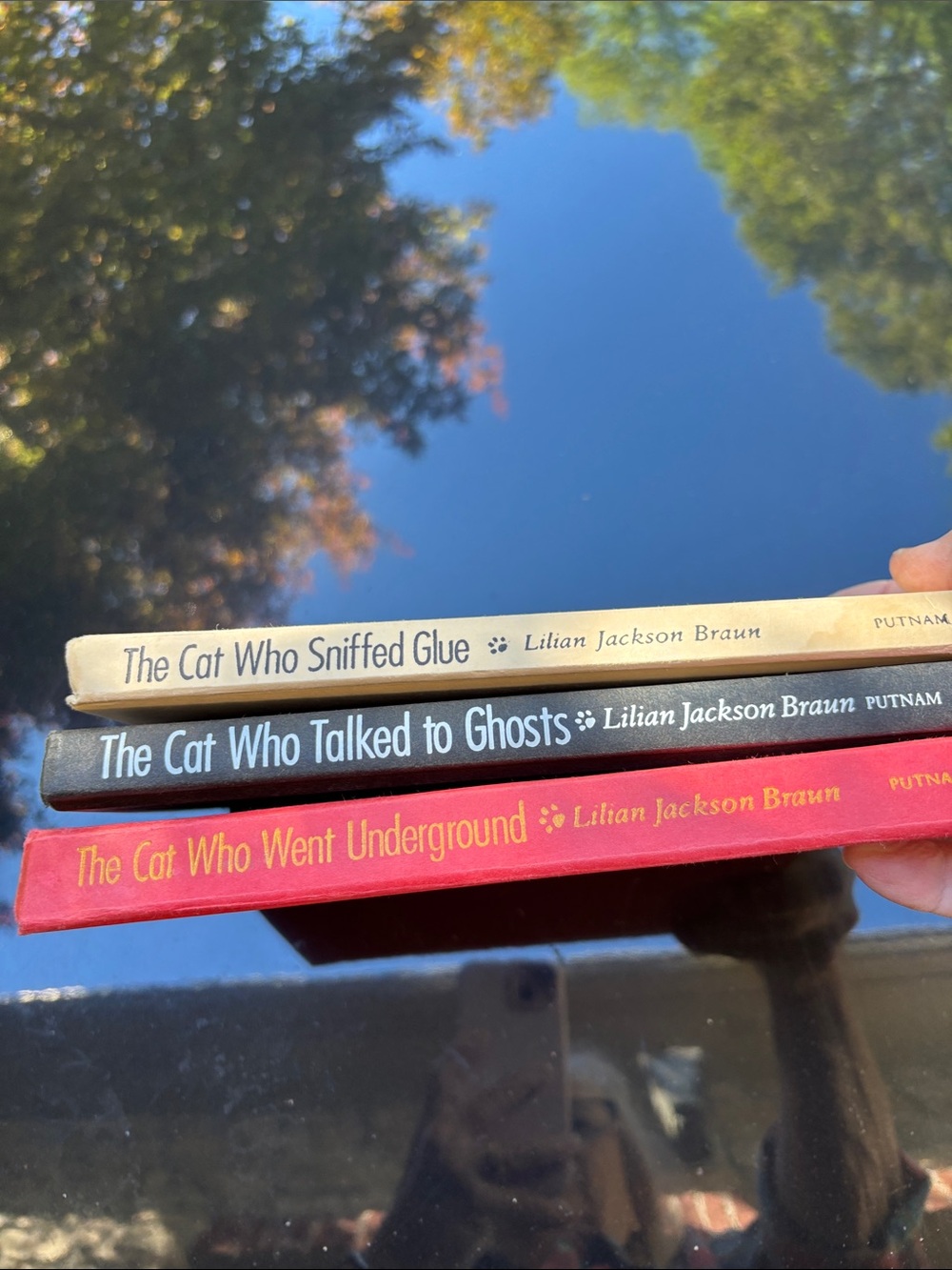 Lillian Jackson Braun, Cat story books